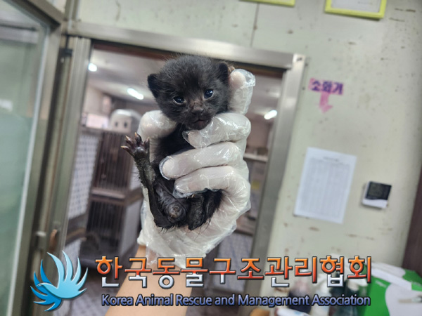 한국동물구조관리협회_441414202400982